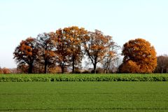 IMG_0027