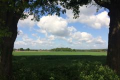IMG_0177
